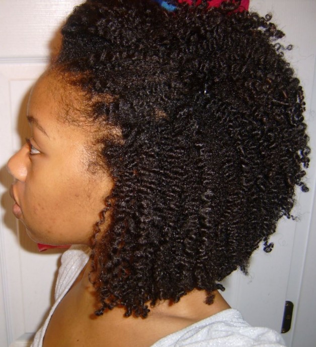 natural hairstyles ideas