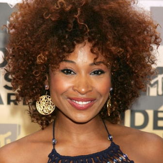 Afro hairstyles image gallery