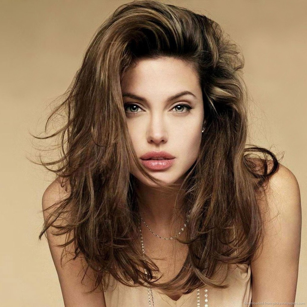 Angelina Jolie Messy Hair Style