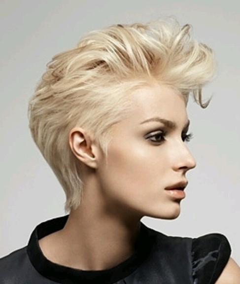 Cropped Pixie Haircut Short Hairstyles for Fine Hair