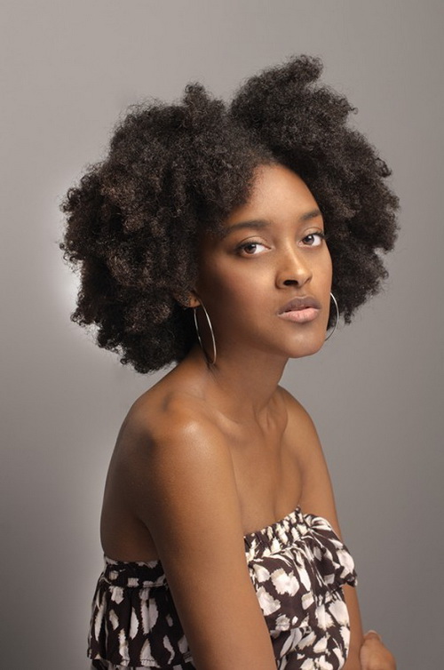 Curly Afro Hairstyles for Women