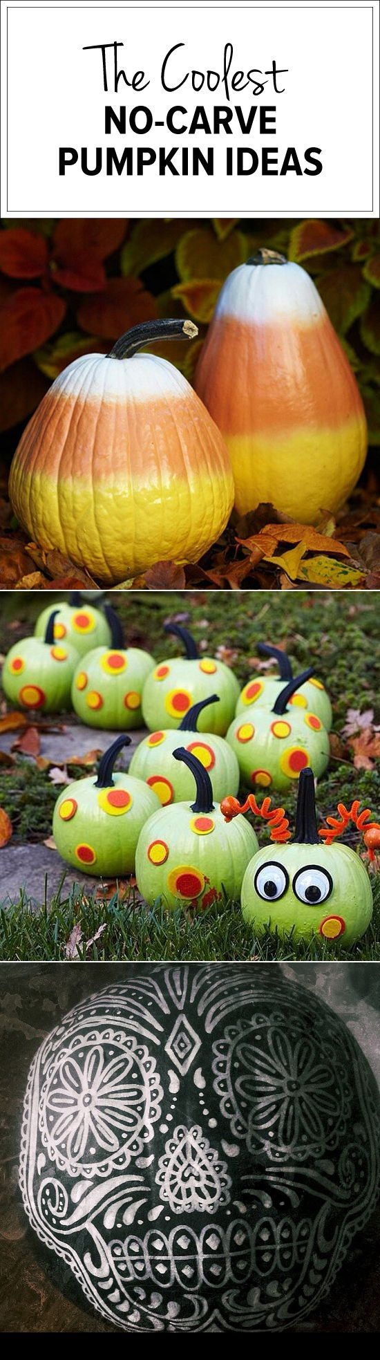 No-Carve Pumpkin Ideas