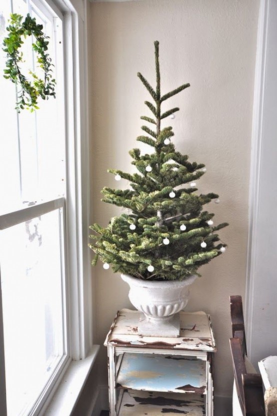 Christmas Tree Ideas (10)