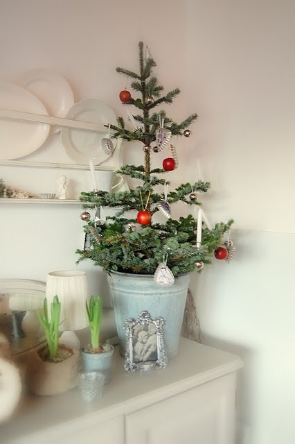 Christmas Tree Ideas (16)