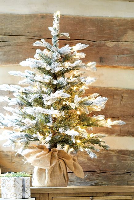 Christmas Tree Ideas (24)