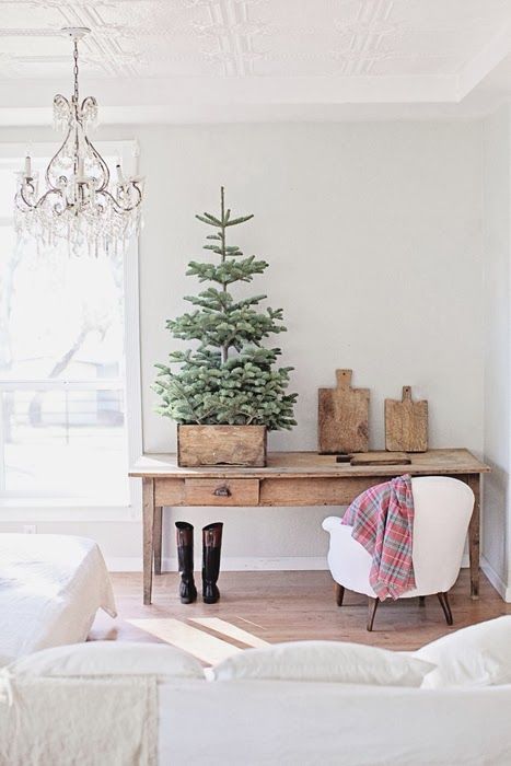 Christmas Tree Ideas (9)