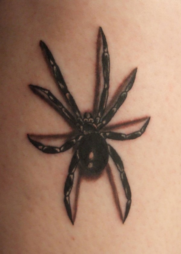 Best Spider Tattoos Designs and Ideas