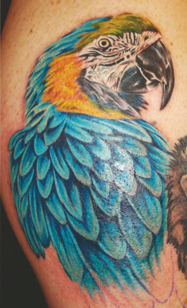 Birds Tattoos (40)