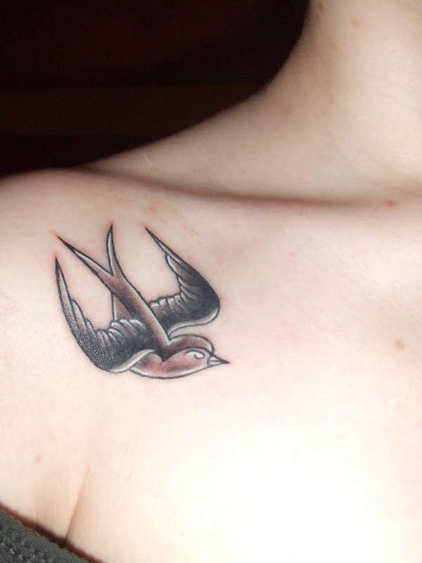 Birds Tattoos (43)