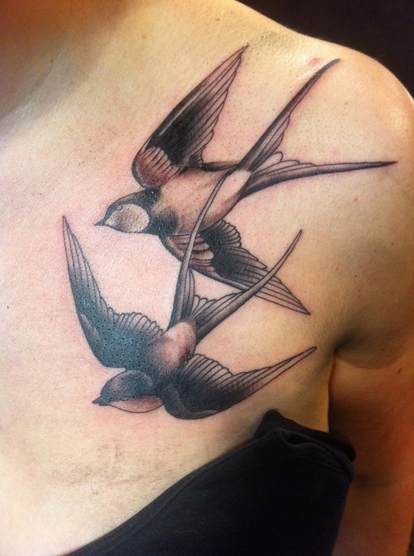 Birds Tattoos (8)