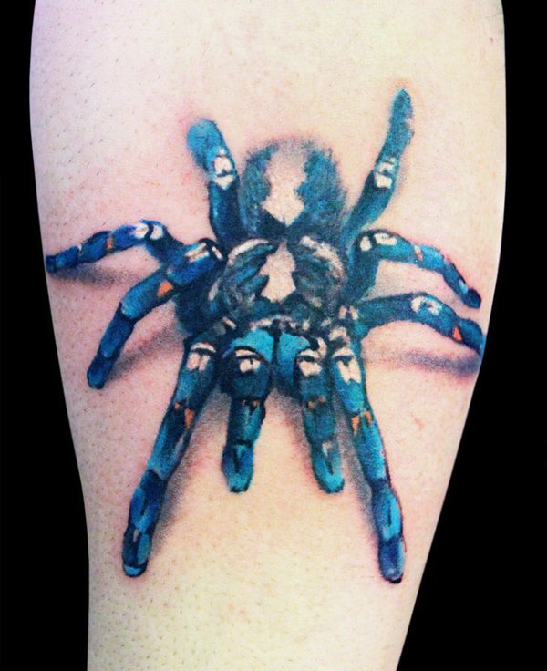 Cool Spider Tattoo Designs