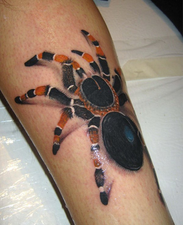 Spider - Tattoo Design