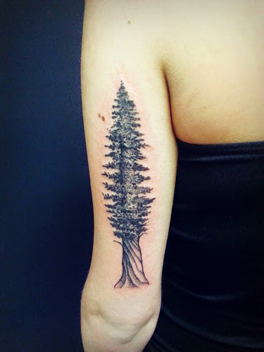 Tree Tattoo Designs (51)