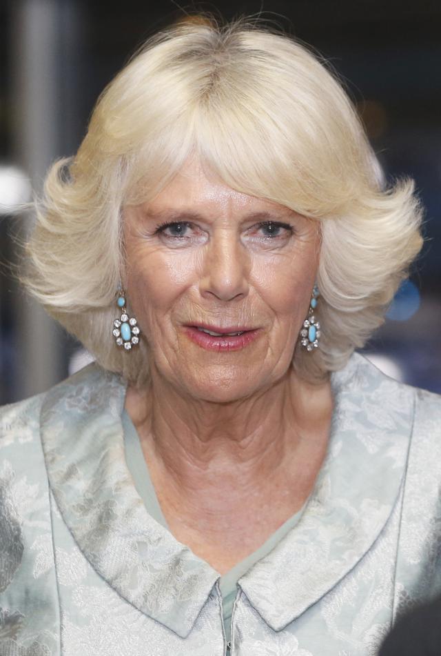 GLASGOW, SCOTLAND - JULY 23: Camilla, Duchess of Rothesay during a reception at the Opening Ceremony of the Glasgow 2014 Commonwealth Games at Celtic Park on July 23, 2014 in Glasgow, Scotland. (Photo by Danny Lawson/WPA Pool/Getty Images)