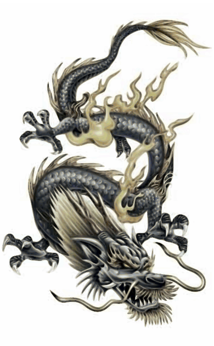 Dragon Tattoo Images & Designs