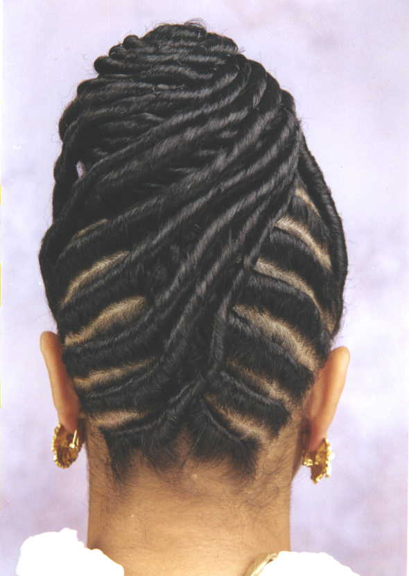 Twist Braids Hairstyles Black Women