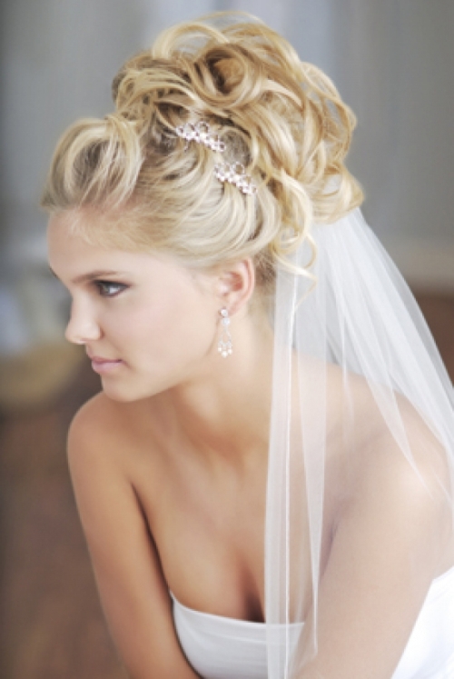 Wedding Hairstyles Updos with Veil