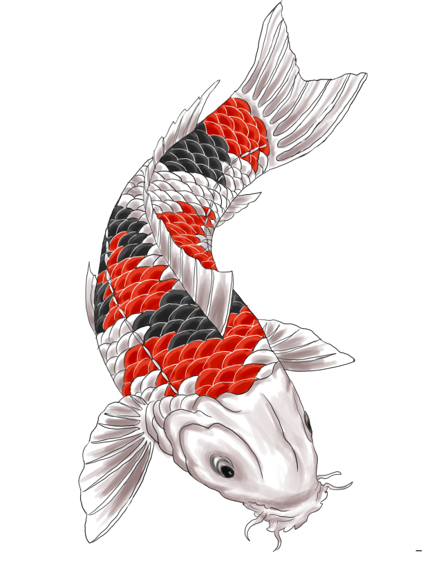 30 Koi Tattoo Design And Displacement Ideas - The Xerxes