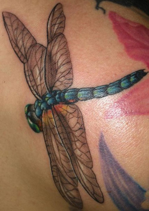 Realistic Dragonfly Tattoo Designs