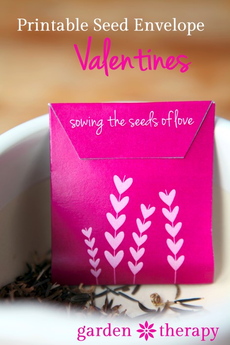 19-sowing-the-seeds-of-love-with-seed-packet-valentines