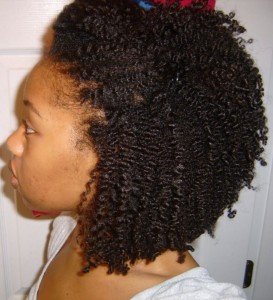 Natural Hairstyles Ideas For Black Women - The Xerxes