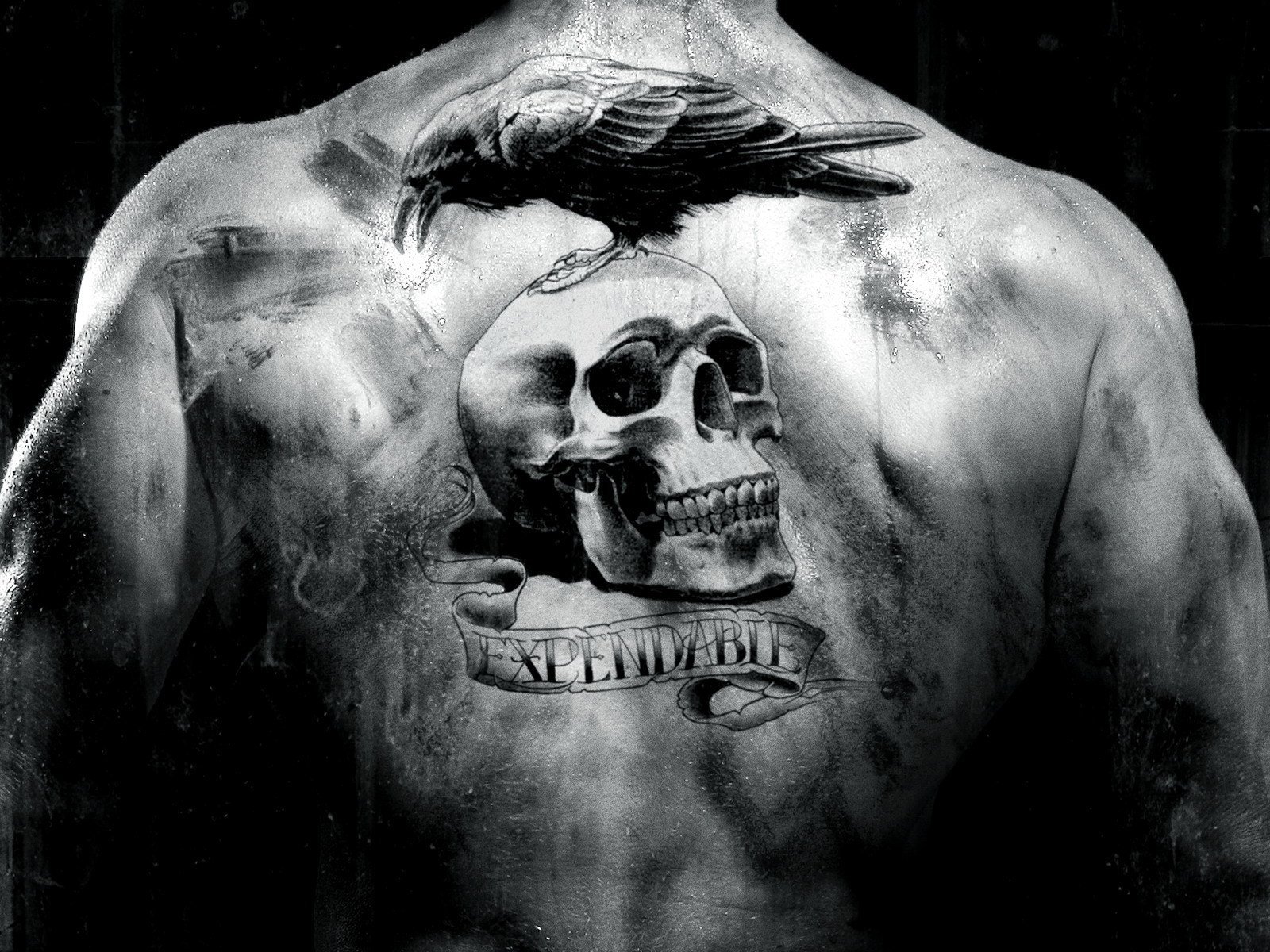 50 Awesome Skull Tattoo Designs