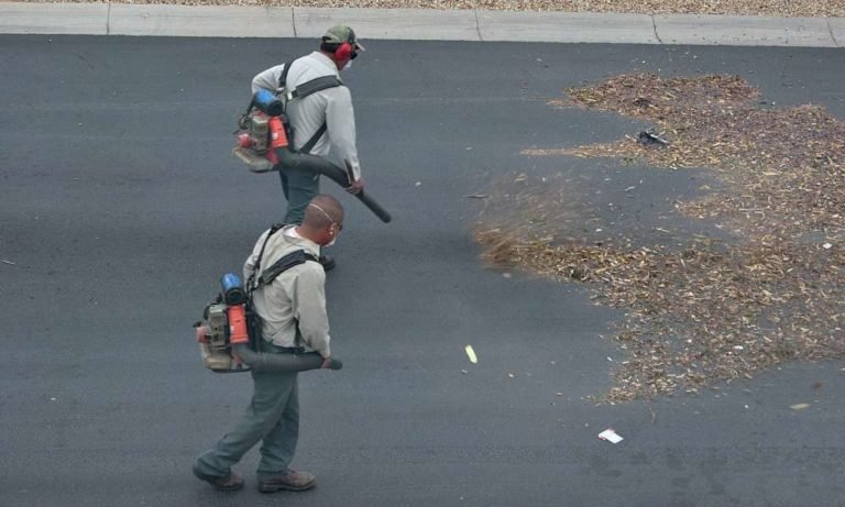 What Makes a Portable Leaf Blower Highly Advantageous?