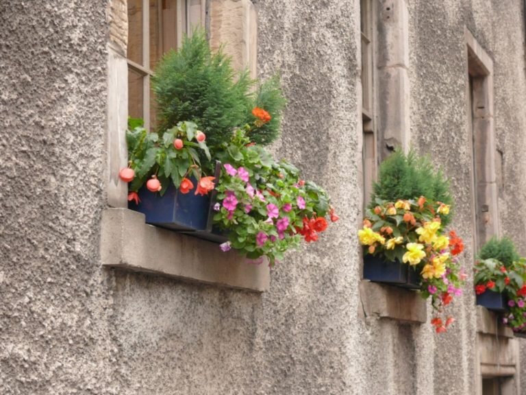 A Guide on Choosing Window Boxes and Planters