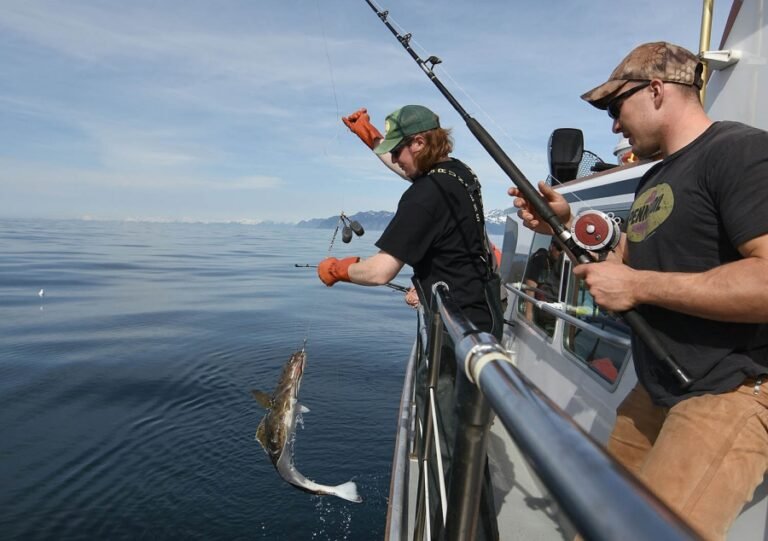 Halibut and Salmon Fishing in Seward, Alaska