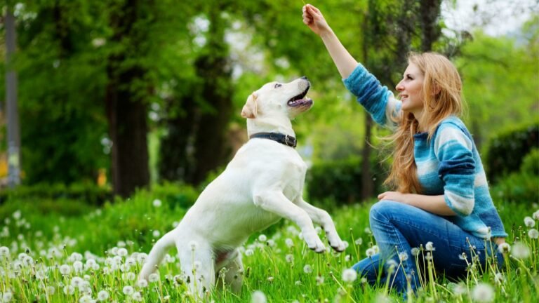 Good Playtime Manners: 5 Ways to Teach Your Puppy Safe Play