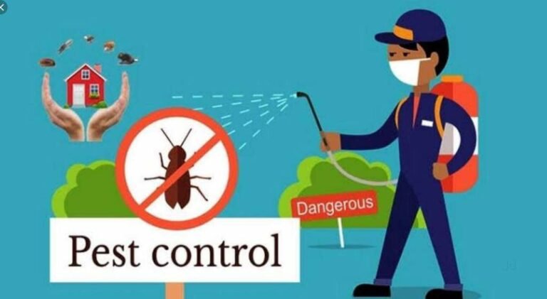 6 Effective Methods For Pest Control